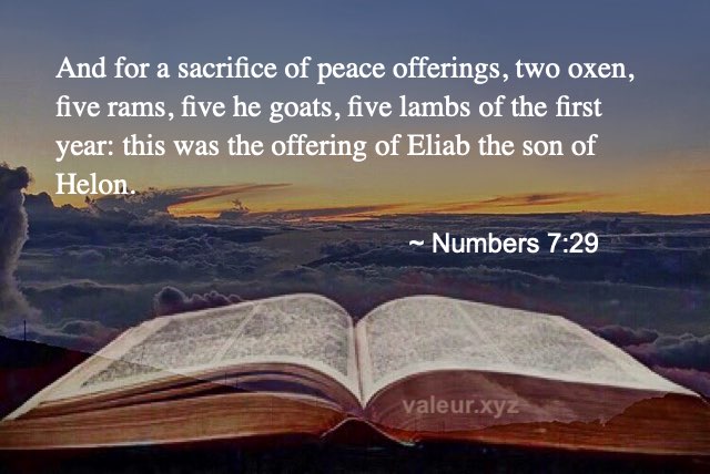 Numbers 7:29