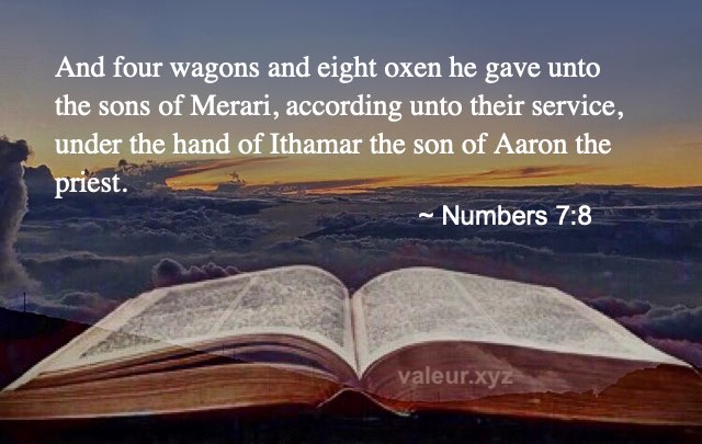 Numbers 7:8