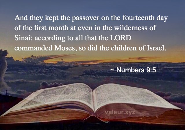 Numbers 9:5