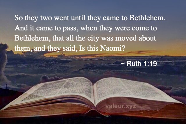 Ruth 1:19