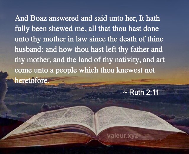 Ruth 2:11