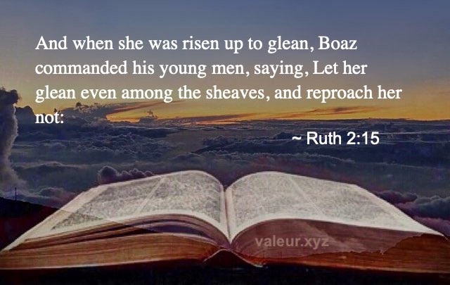 Ruth 2:15
