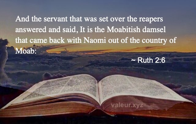 Ruth 2:6