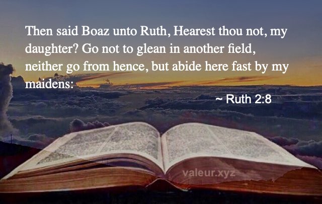 Ruth 2:8